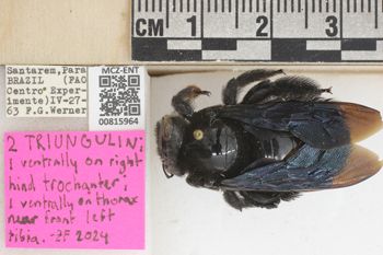 Media type: image;   Entomology 815964 Aspect: labels